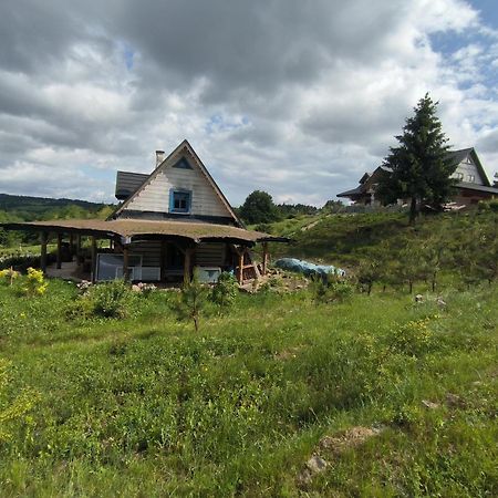 Agroturystyka Odnowica U Pawla Nowica Exterior foto